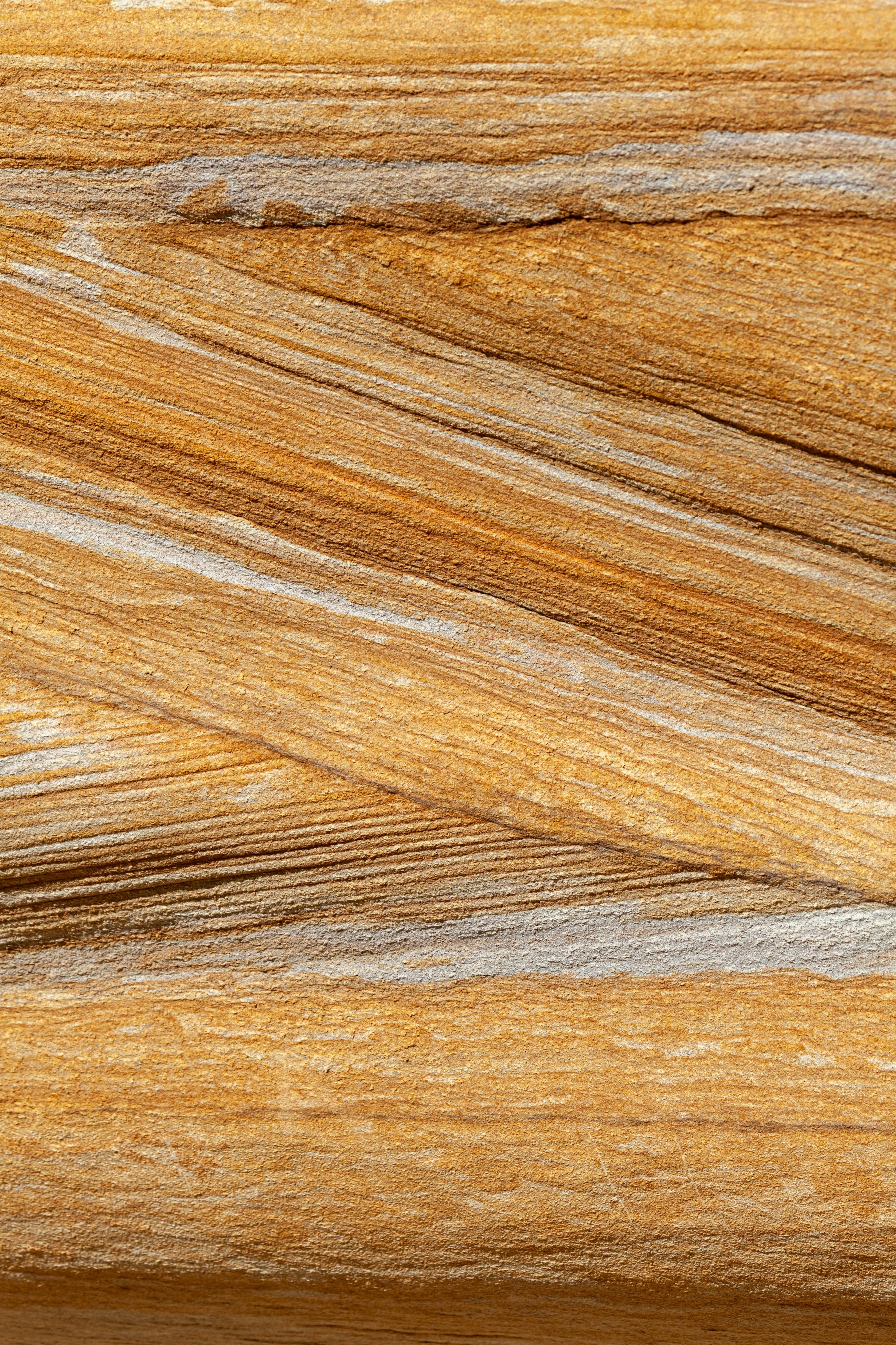 خشب الكشمير